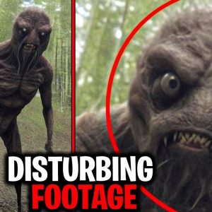 BREAKING NEWS: Terrifying Wild Encounters: A Spine-Chilling Compilation of Creatures Caught on Camera.