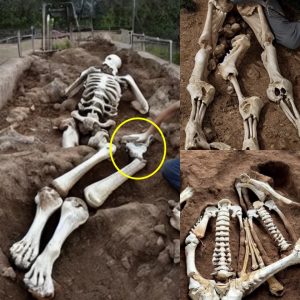 HOT NEWS: Giants of the Past: 10-Foot-Tall Skeleton Unearthed in Germany, Rewriting History.