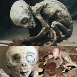 Breakthrough Discovery: The True Alien Identity of the Mexico Babies Revealed!.