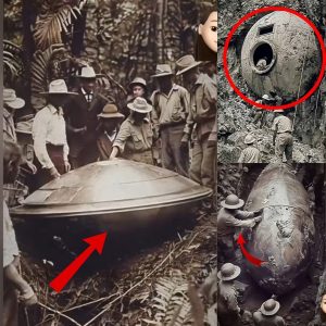 HOT NEWS: Unveiling Extraterrestrial Artifacts: Groundbreaking Archaeological Discoveries in Mexico's Blue Mountains.