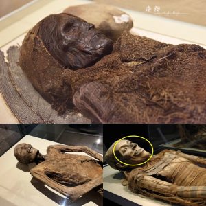 BREAKING NEWS: Revealing Wonders: Extraterrestrial Mummies Discovered in Kiev Unveil a 3,000-Year-Old Ancient Tapestry.