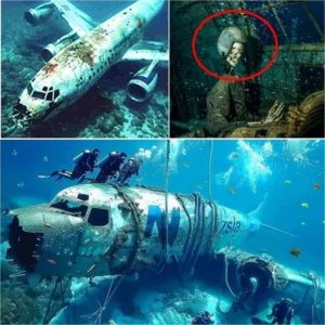 BREAKING NEWS: Underwater Drone Finds Missing Malaysian Flight 370 After Years of Mystery.