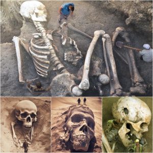 BREAKING: Unraveling the Giant Skeleton Mystery: Exploring Possible Alien Origins Behind Human Giants.