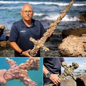 Stunning Discovery: 900,000-Year-Old Crusader Sword Found in the Depths of the Mediterranean, Blade Still Sharp!.