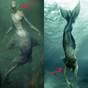 BREAKING NEWS: Animal Planet Documentary Unveils Shocking Evidence of Mermaids: Hidden Secrets Exposed.