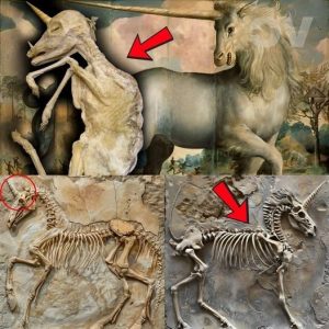 HOT: Rewriting History: Groundbreaking Unicorn Fossil Discovery Reveals a New Chapter in Ancient Mythology.