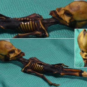 Unveiling Earth's Secrets: Alien Skeleton Discovered in Groundbreaking Village Excavation!...