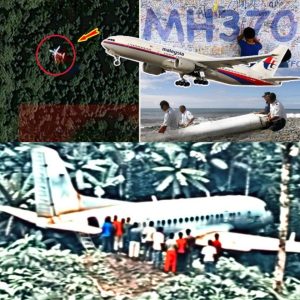 HOT: Satellite Technology Reveals: American Experts Locate MH370 Hidden in a Forest!...