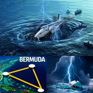 HOT: Survivor Reveals Groundbreaking Insights into the Mysterious Bermuda Triangle!...