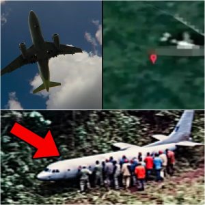 (VIDEO): Expert Claims to Have 'Found' Missing MH370 Using Google Maps Search!...