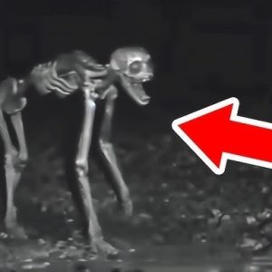 BREAKING NEWS: The Creepiest Things Found in the Woods (VIDEO)